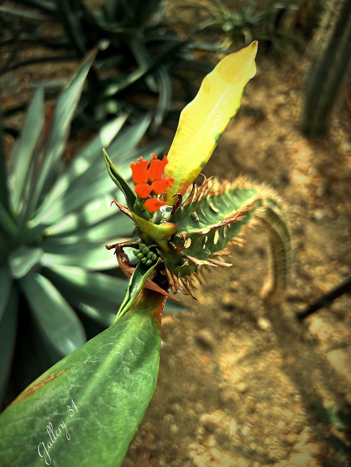 Nature's Gift Wall Print